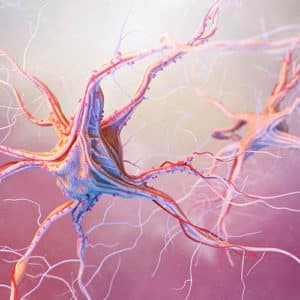 Tratamiento con células madre para enfermedades neurológicas como Parkinson y Alzheimer