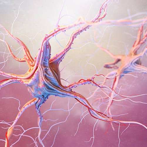 Tratamiento con células madre para enfermedades neurológicas como Parkinson y Alzheimer