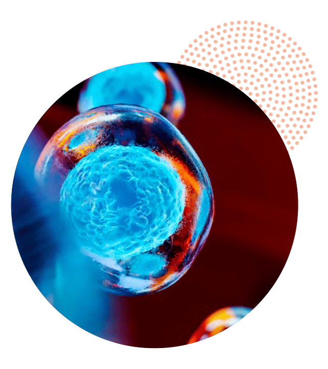 Ilustración de una célula madre y su capacidad de regeneración