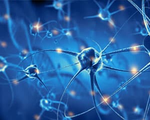 Neuronas beneficiadas por células madre en terapias neurológicas