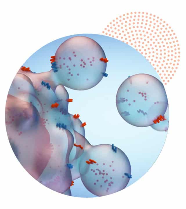 Interacción entre células madre y exosomas