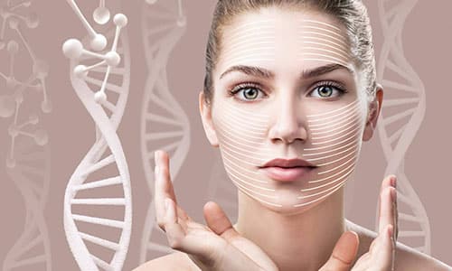 Tratamientos antienvejecimiento con células madre