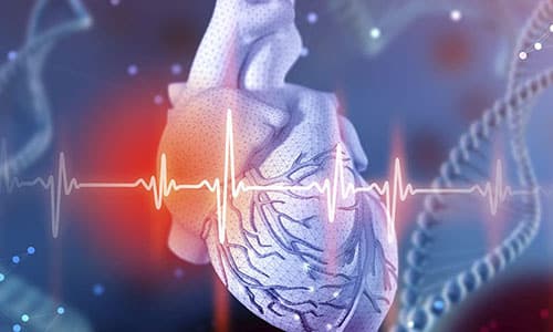 Aplicación de células madre en enfermedades cardiovasculares como insuficiencia cardíaca