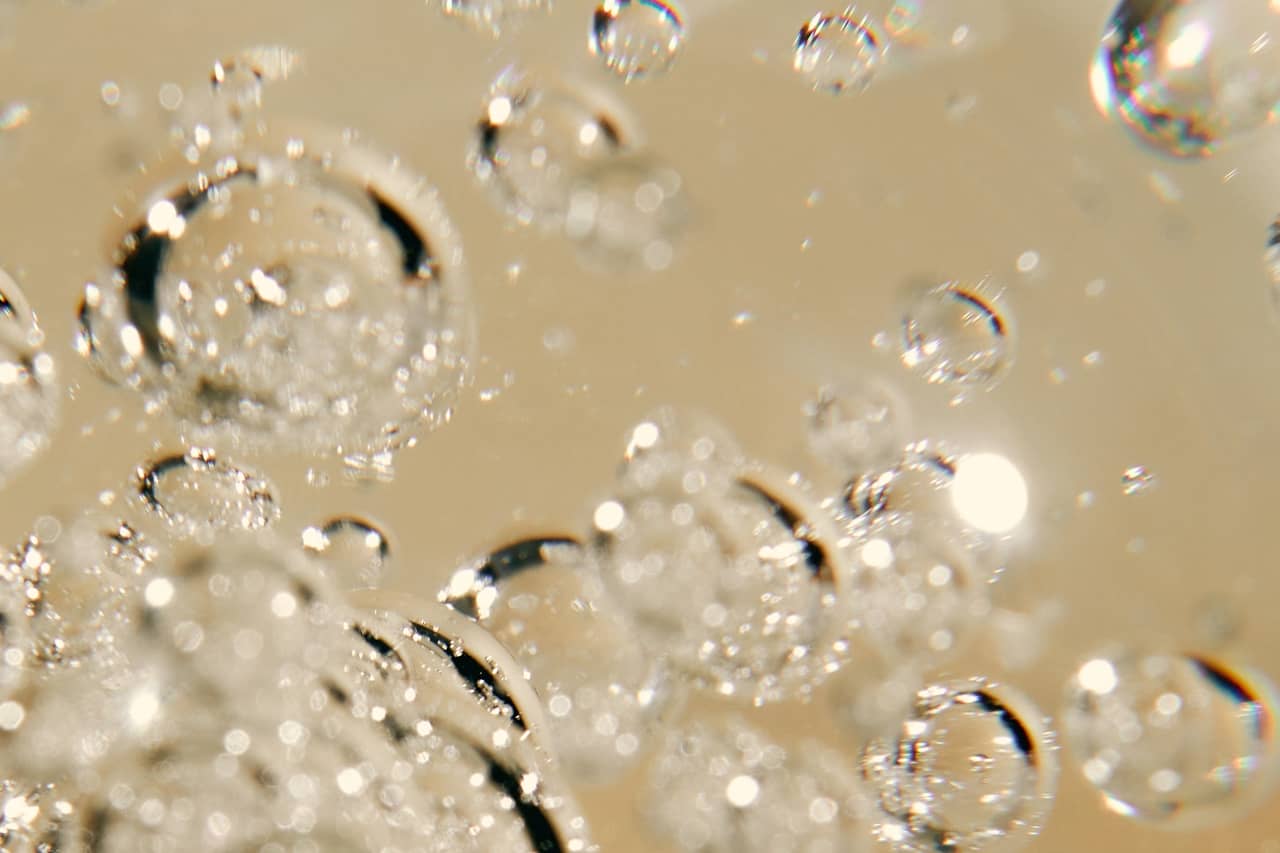 where do stem cells come from