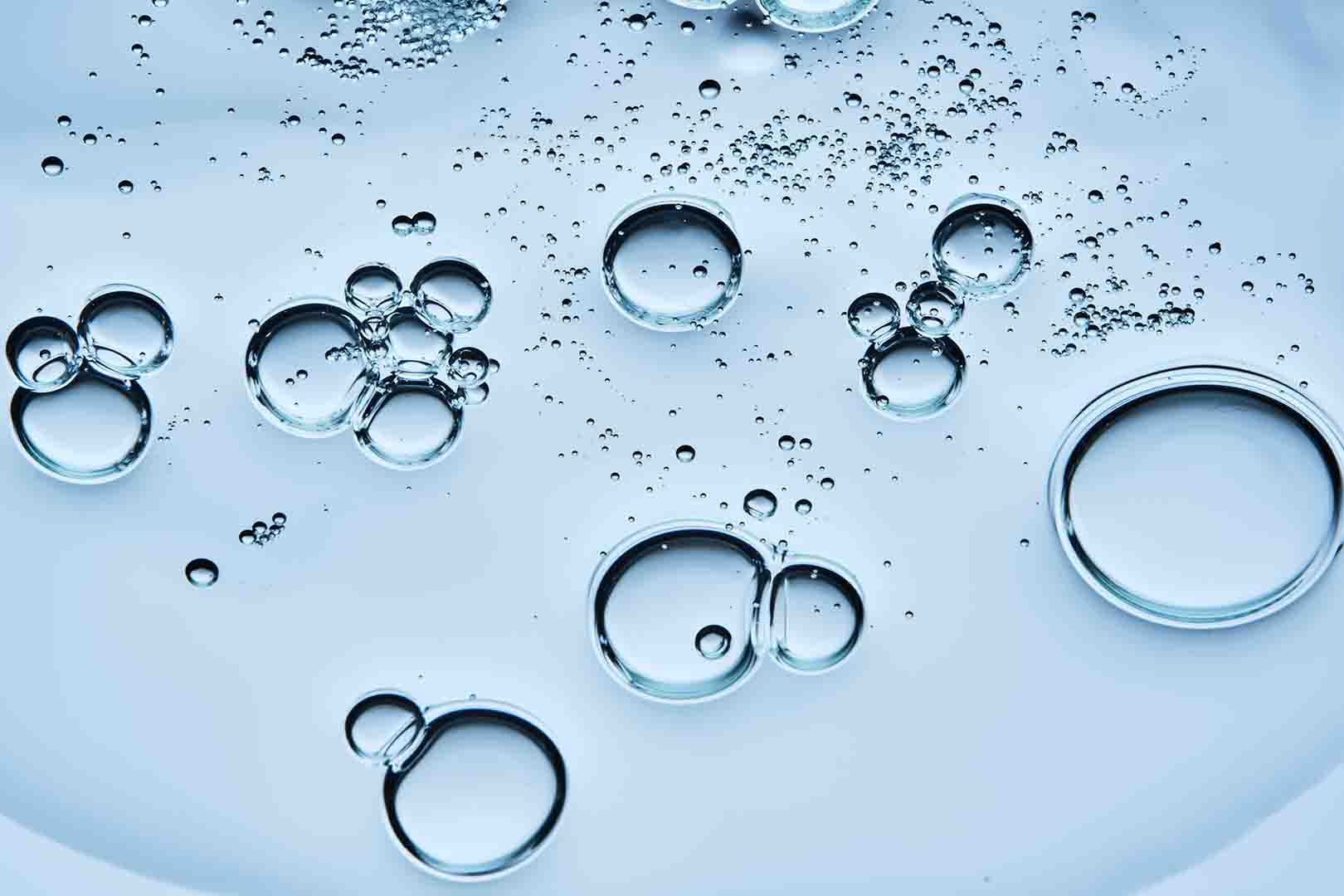 where do stem cells come from