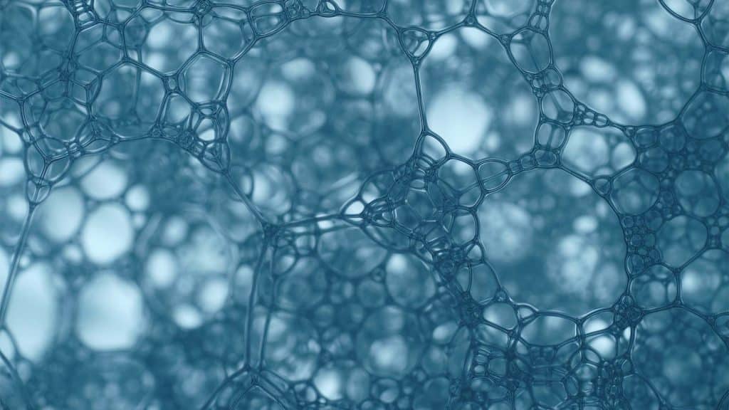 List of Diseases Treated by Stem Cells