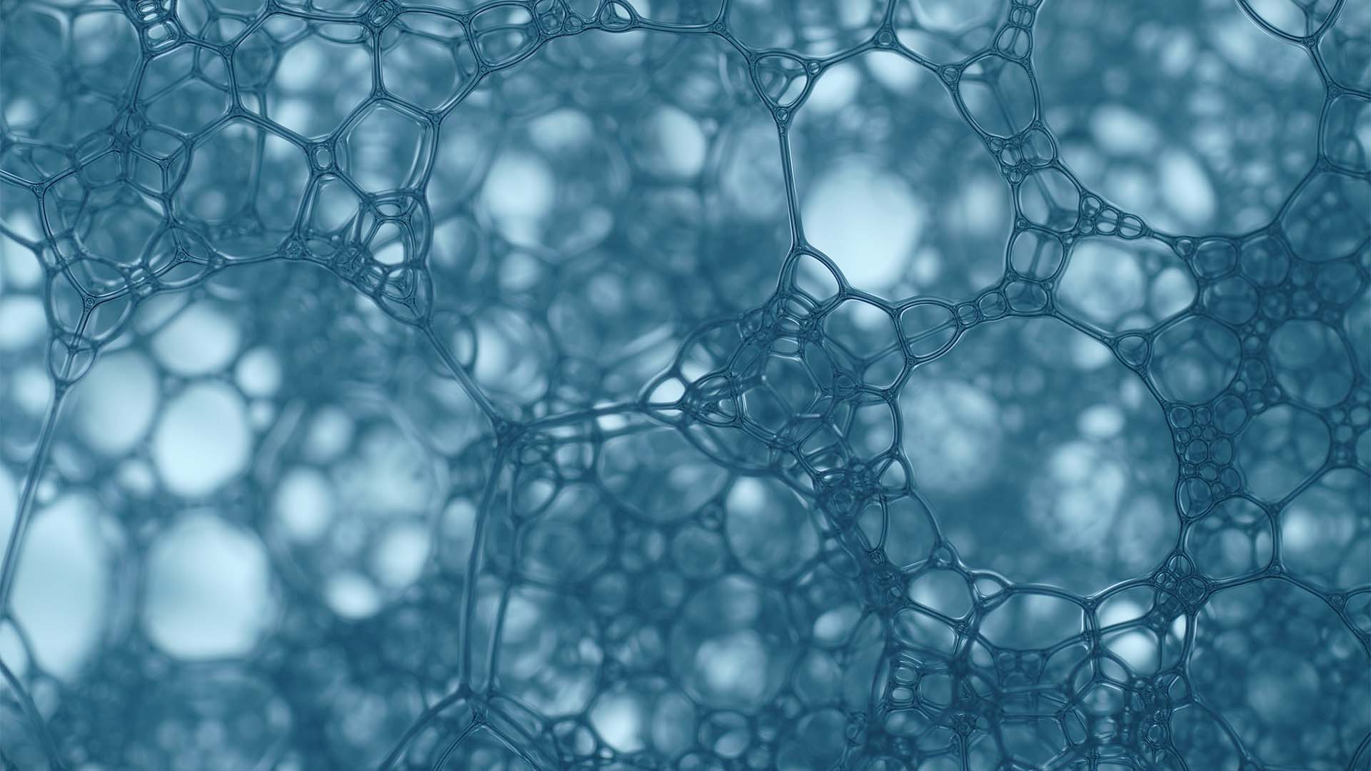 list of diseases treated by stem cells