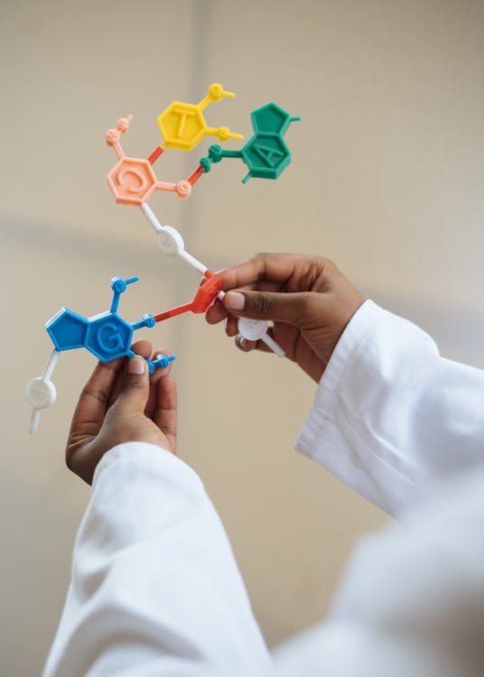 How Much Does Stem Cell Therapy Cost? Your Complete 2026 Guide
